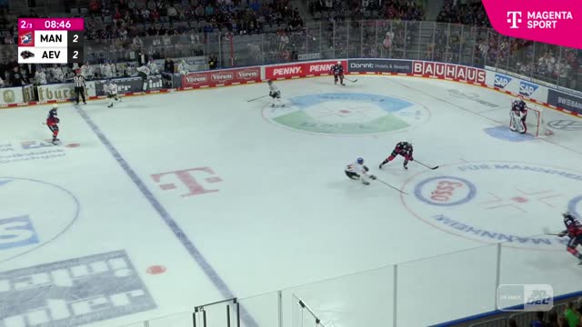 Highlights