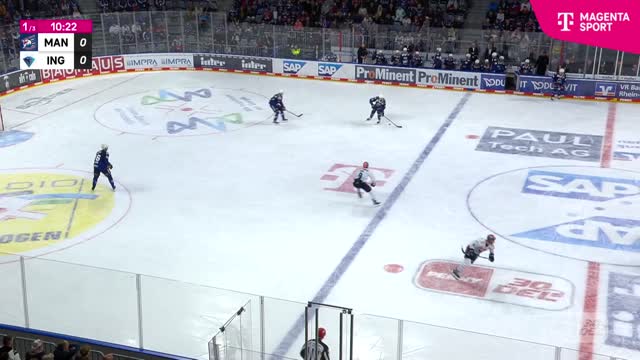 Highlights