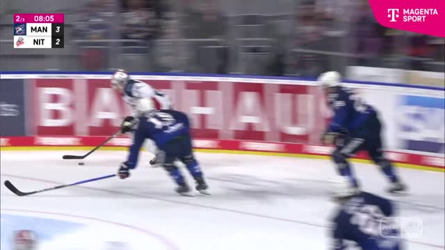 Highlights