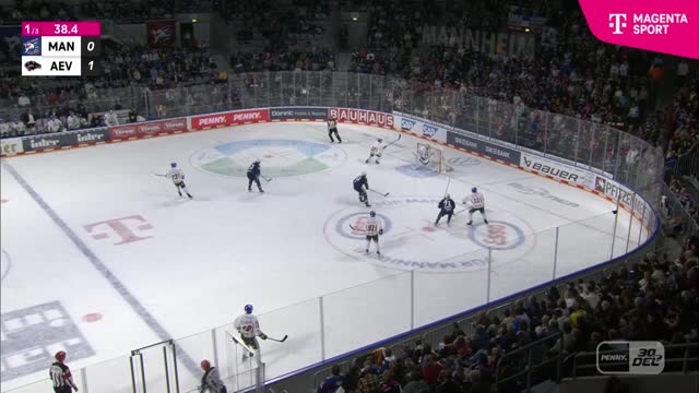 Highlights