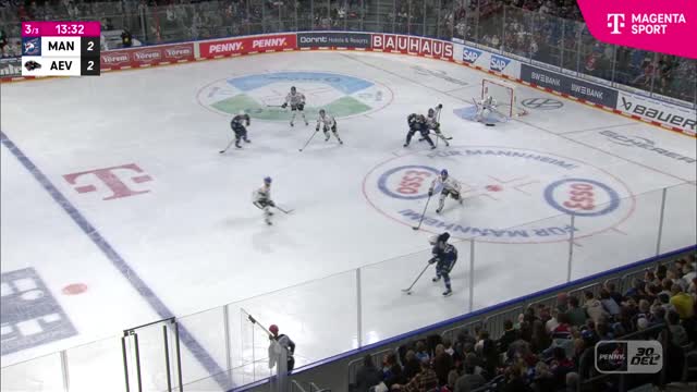 Highlights