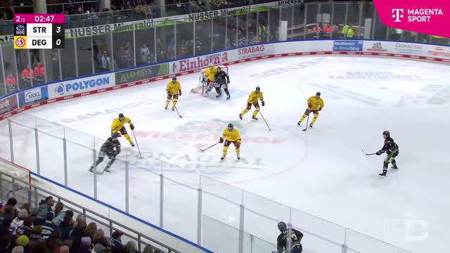 Highlights