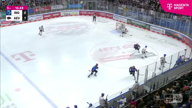 Highlights