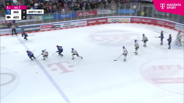 Highlights