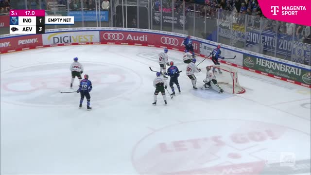 Highlights