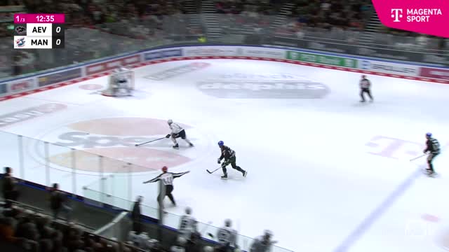 Highlights