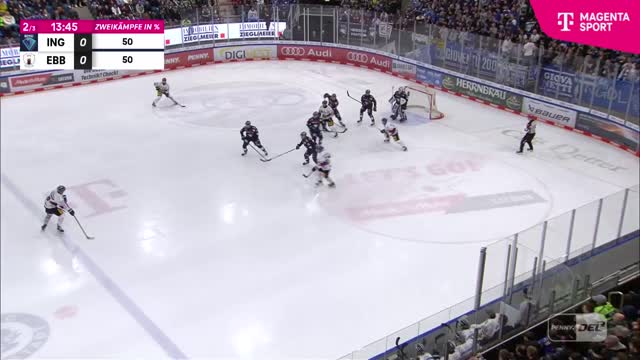 Highlights