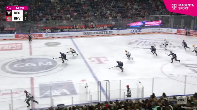 Highlights