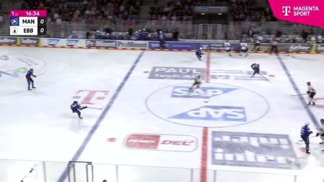 Highlights