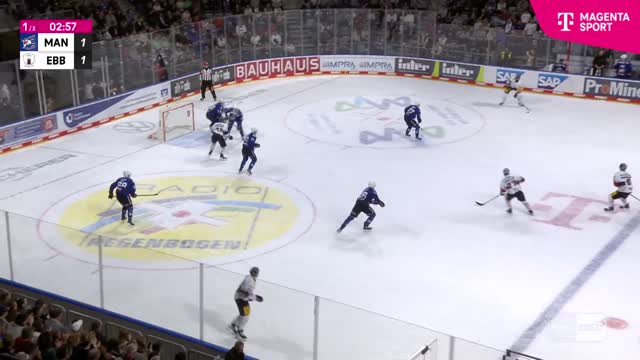 Highlights