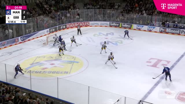 Highlights