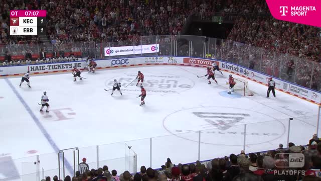 Highlights